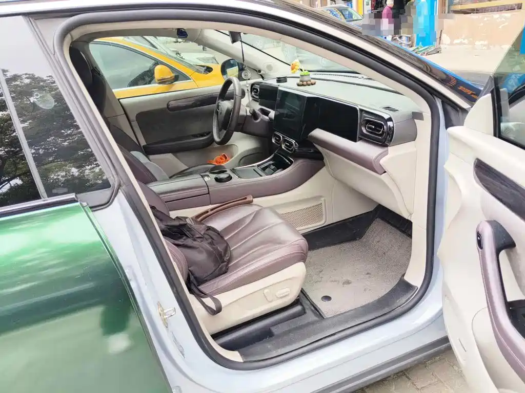 Leapmotor C11 2022 2021 Model Premium Edition