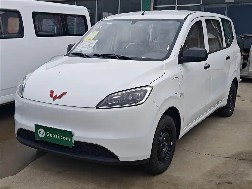 Wuling Motors Wuling Hongguang New Energy 2024 Pure Electric 300KM Standard