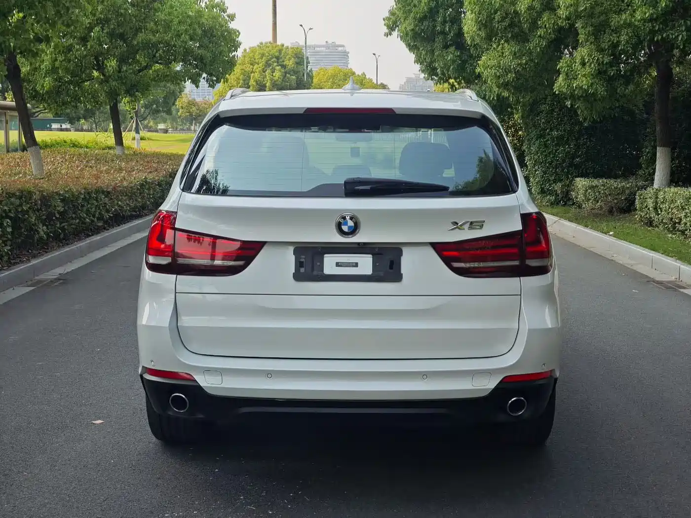 BMW X5 (Import) 2014 xDrive35i Leading фото 5