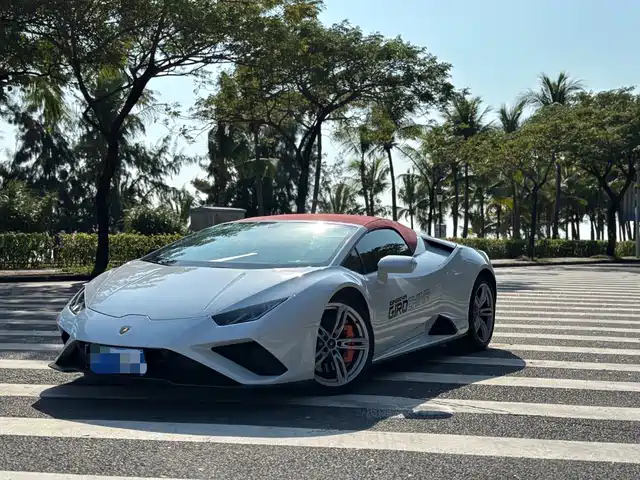 Lamborghini Huracán 2020 Huracán EVO RWD Spyder