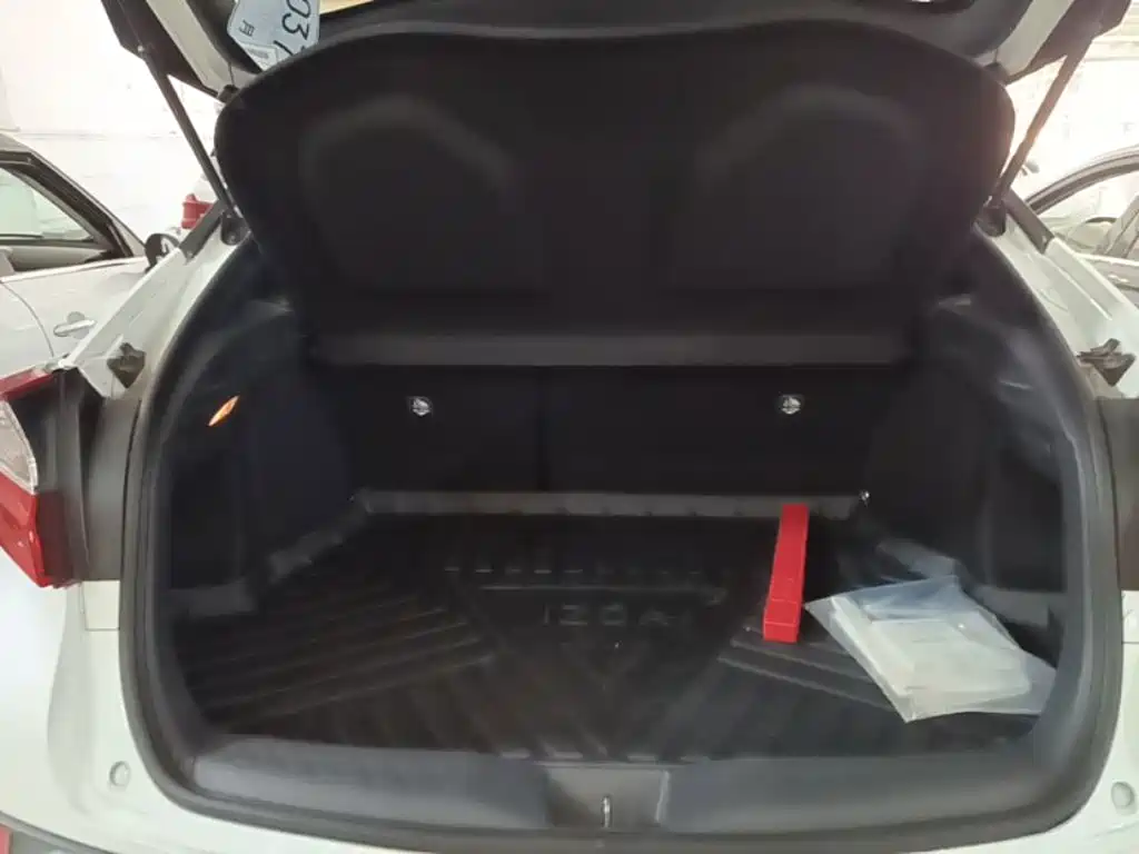 Toyota IZOA 2021 2021 2.0L Yixiang Edition