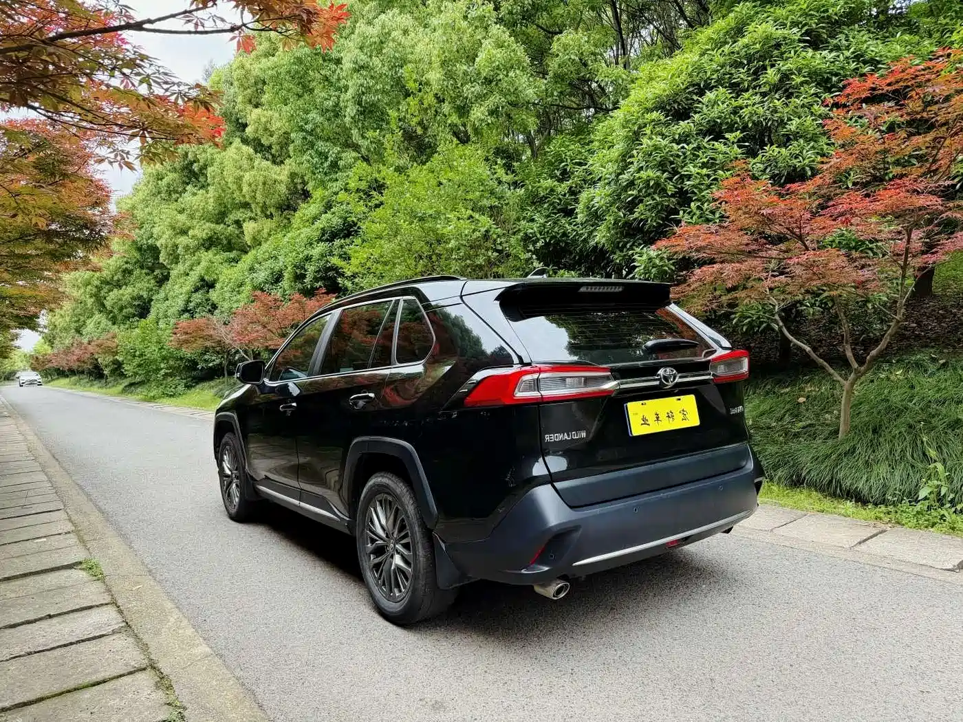 Toyota Wildlander 2023 2.0L CVT FWD Luxury PLUS фото 6