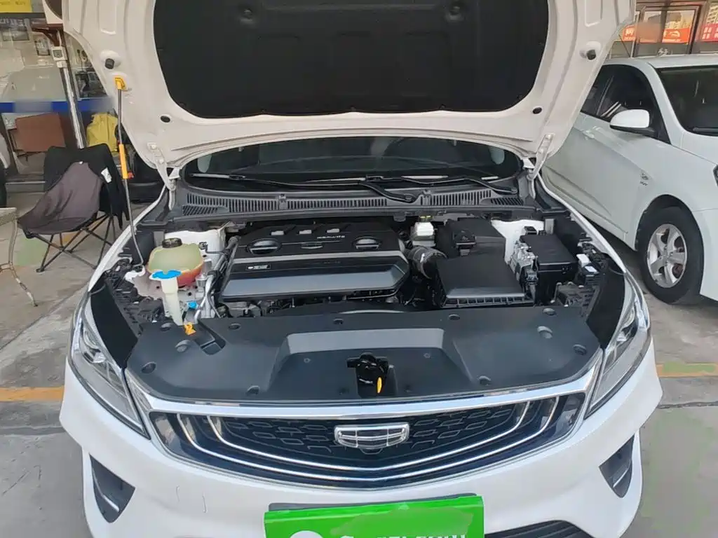 Фото 20 - Geely Binrui