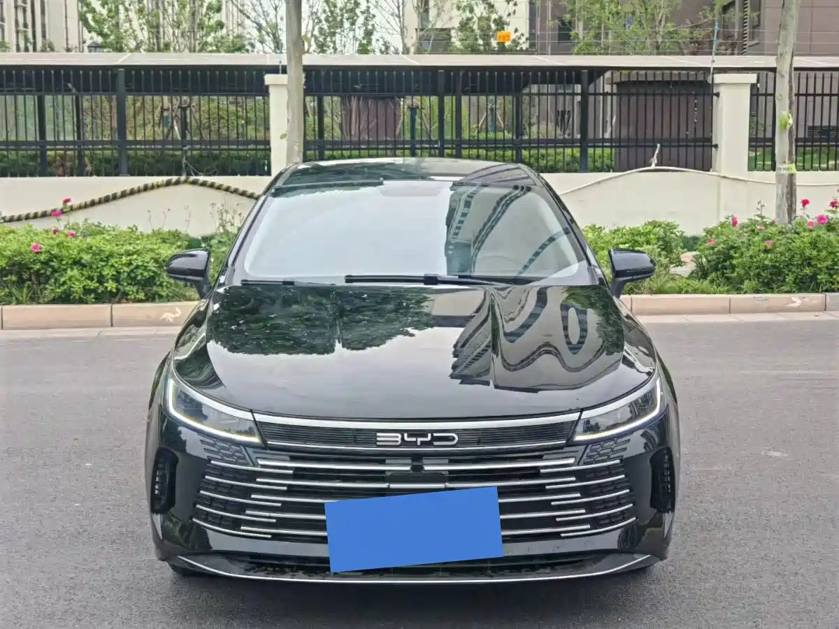 BYD Destroyer 05 2024 Glory Edition DM-i 55KM Luxury фото 2