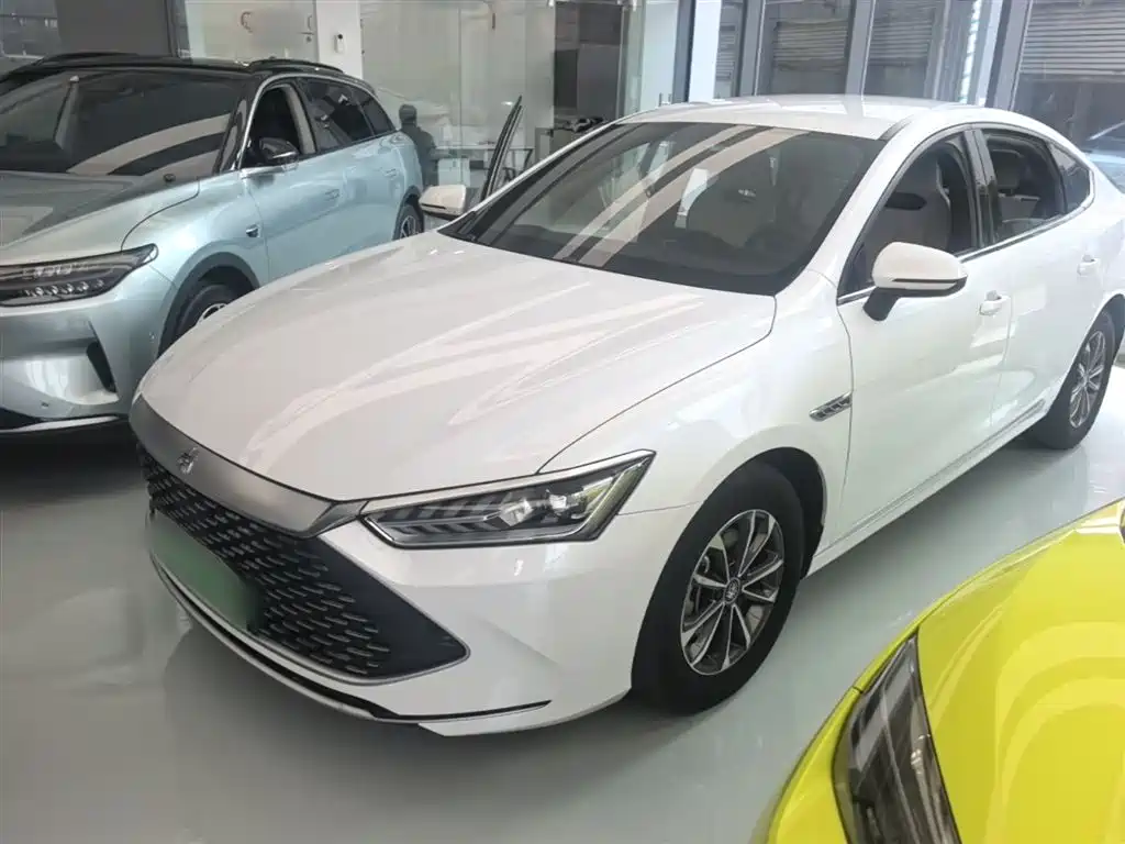 BYD Qin PLUS 2023 Champion Edition DM-i 55KM Leading фото 2