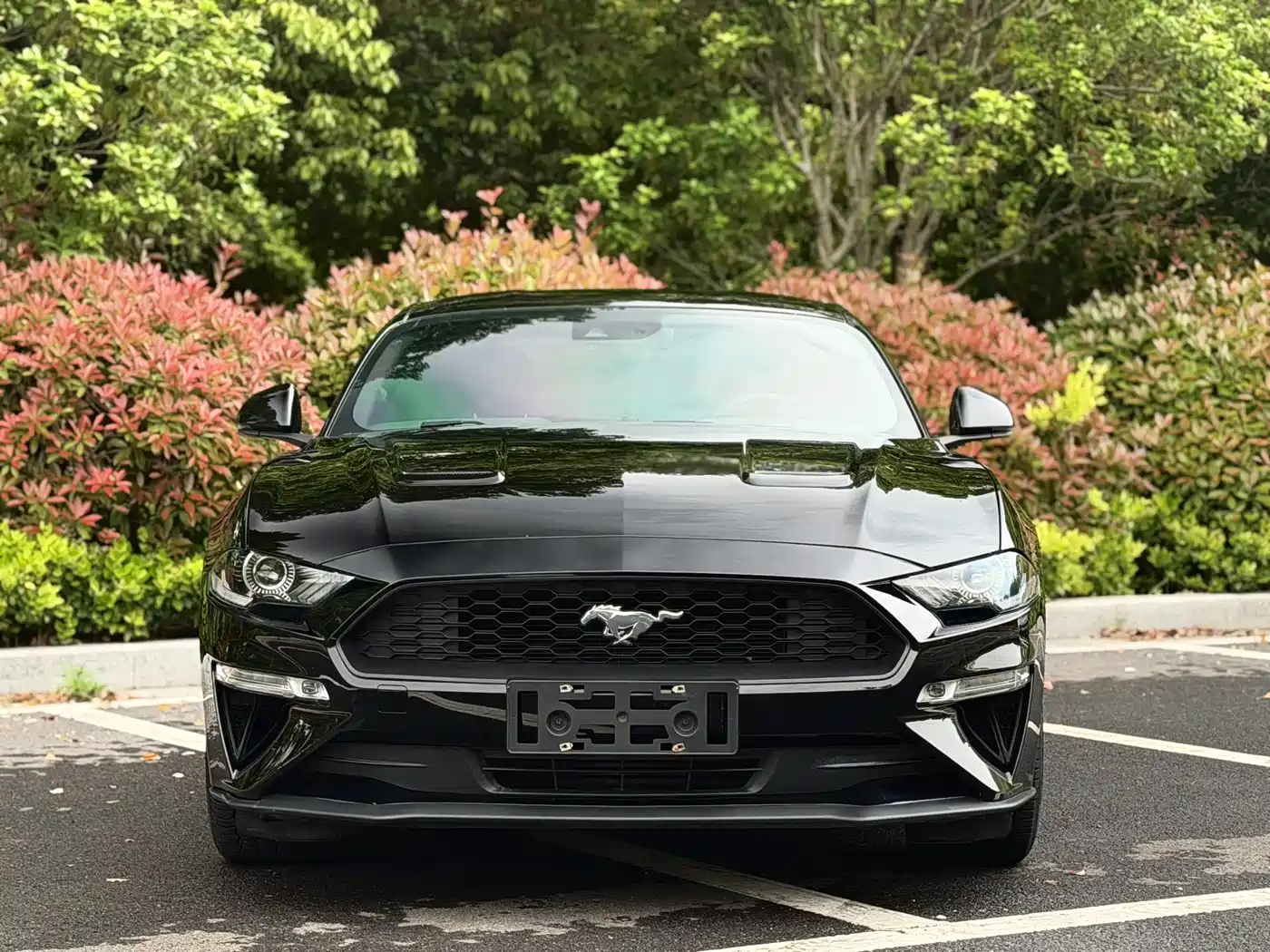 Ford Mustang 2019 2.3L EcoBoost фото 2