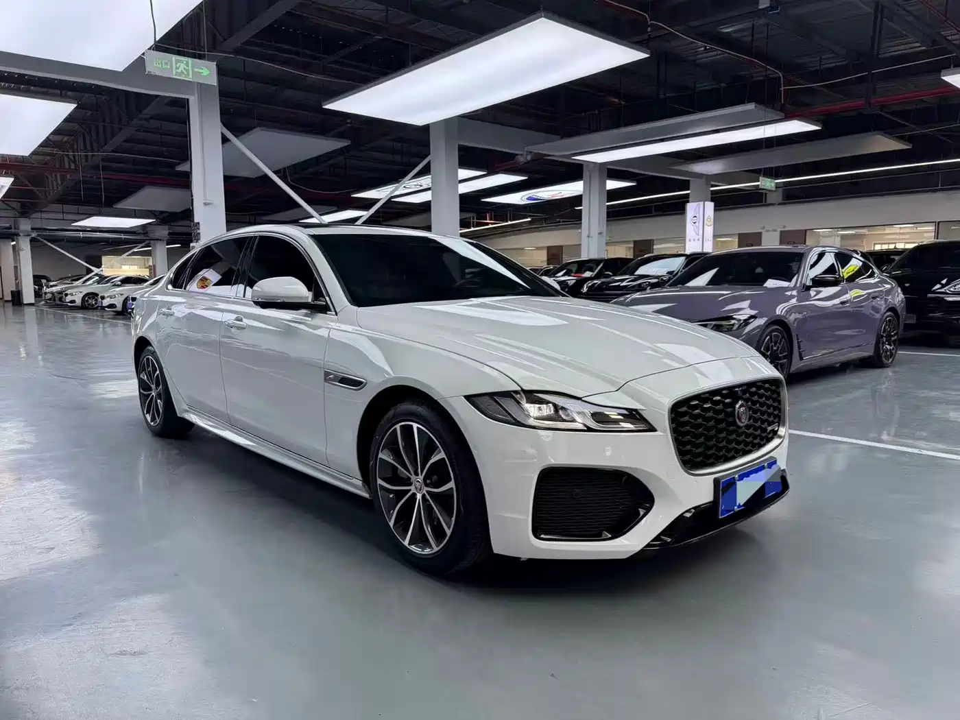 JAGUAR XFL