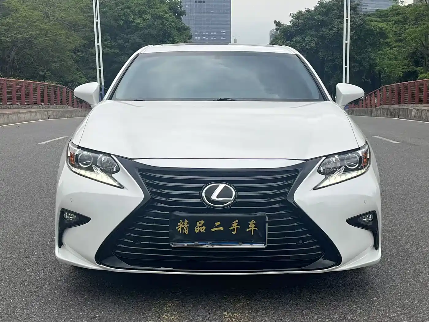 Lexus ES 2017 200 30th Anniversary Edition фото 2