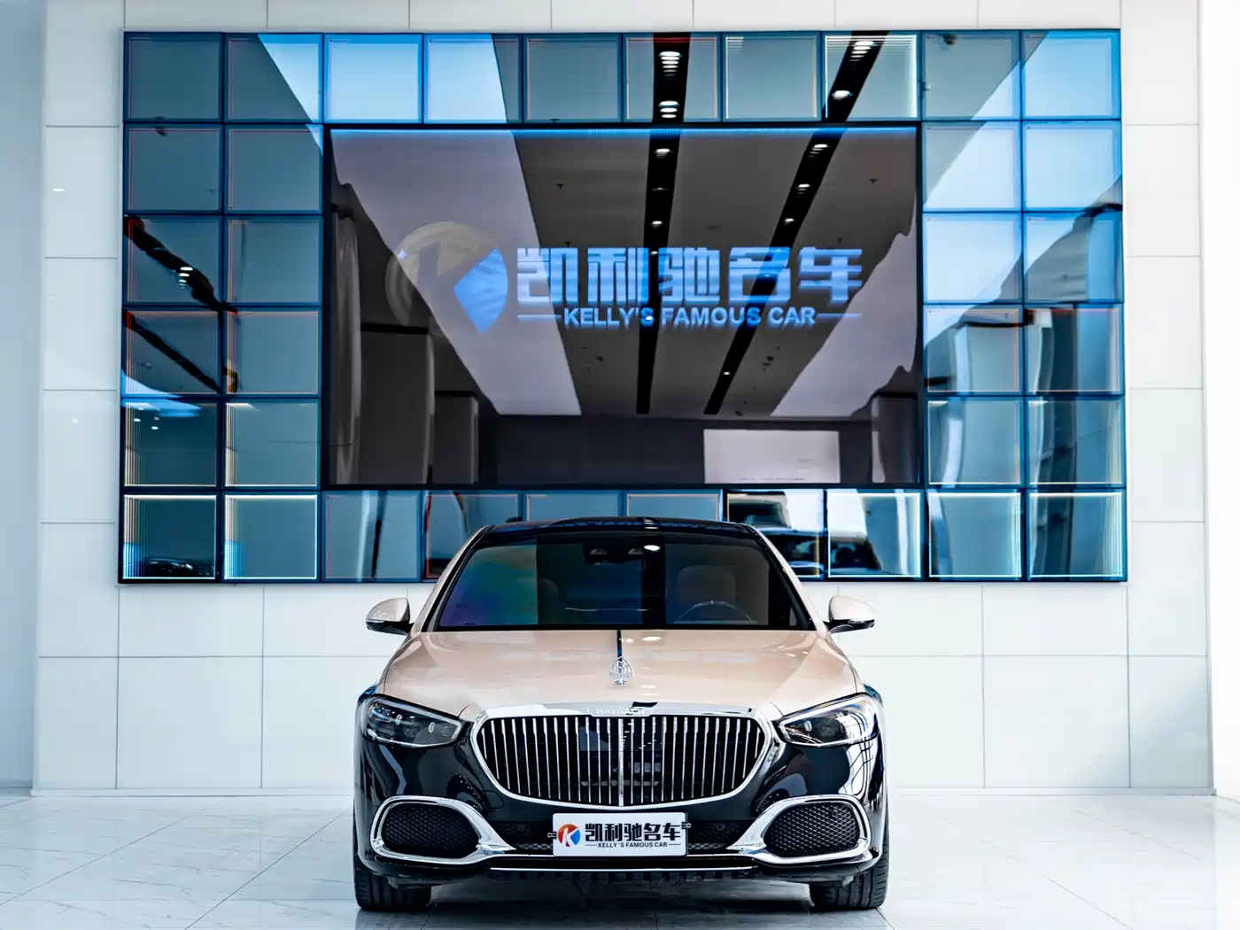 Mercedes-Benz Maybach S-Class 2021 S 480 4MATIC фото 2