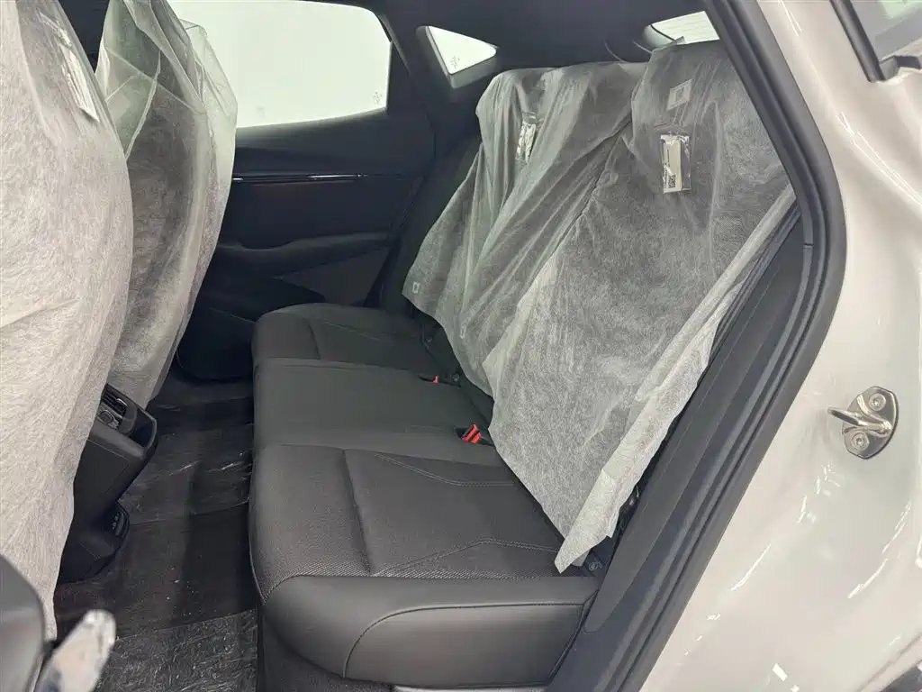 VOLKSWAGEN WITH THE CROWD 06