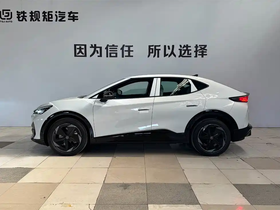 VOLKSWAGEN WITH THE CROWD 06