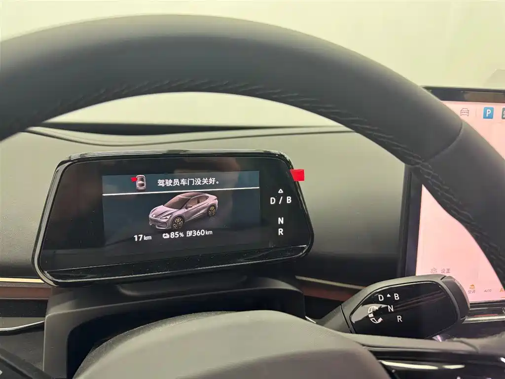 VOLKSWAGEN WITH THE CROWD 06