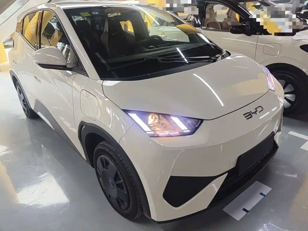 2026 BYD Seagull