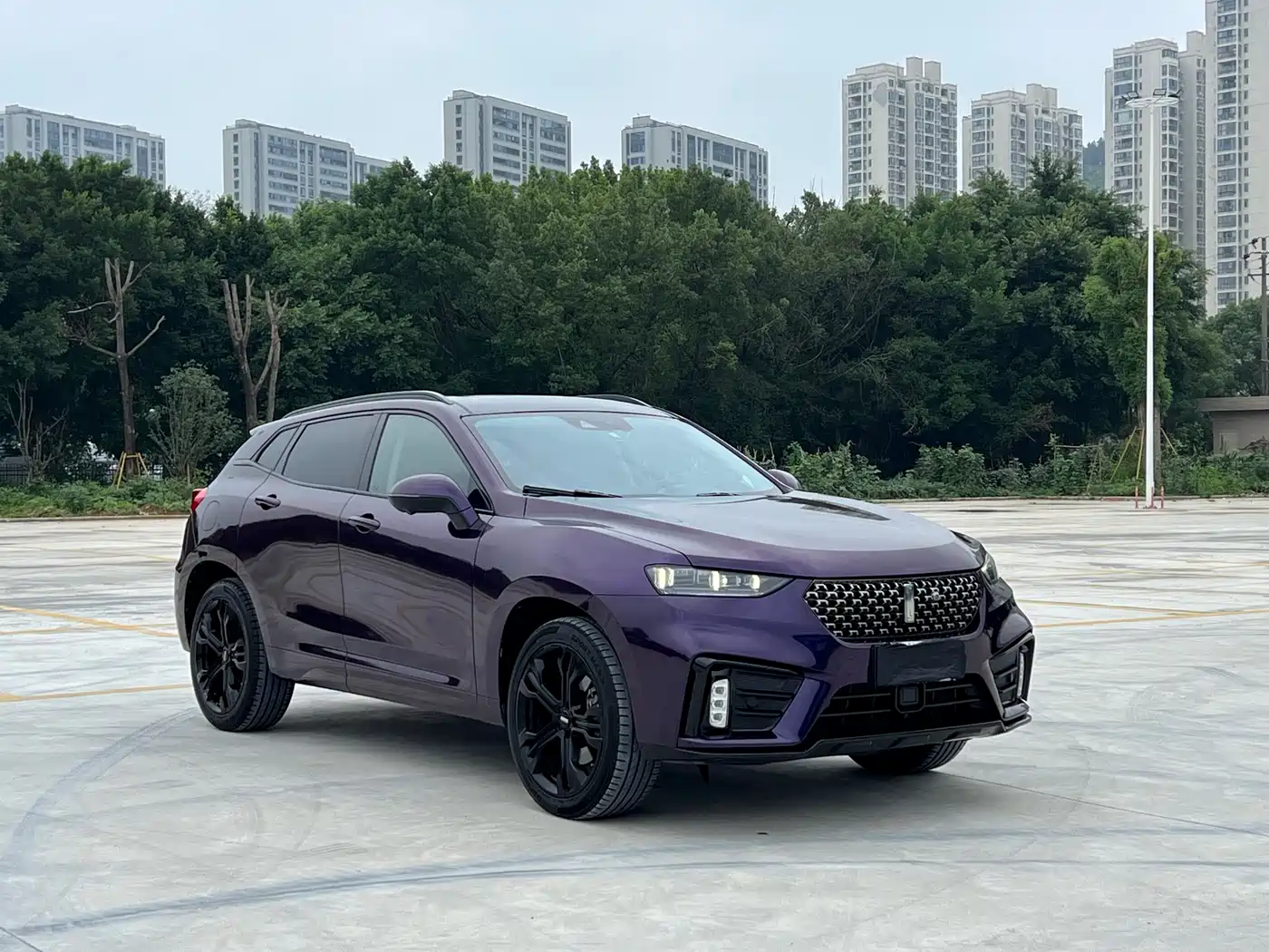 2021 WEY VV7