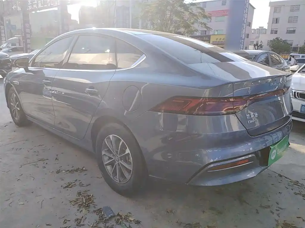 BYD Qin PLUS 2024 Glory Edition DM-i 55KM Leading фото 5