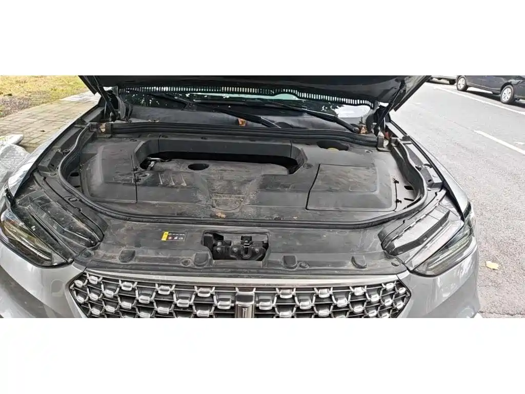 WEY VV6 2021 2021 2.0T 2WD Smart Enjoyment+
