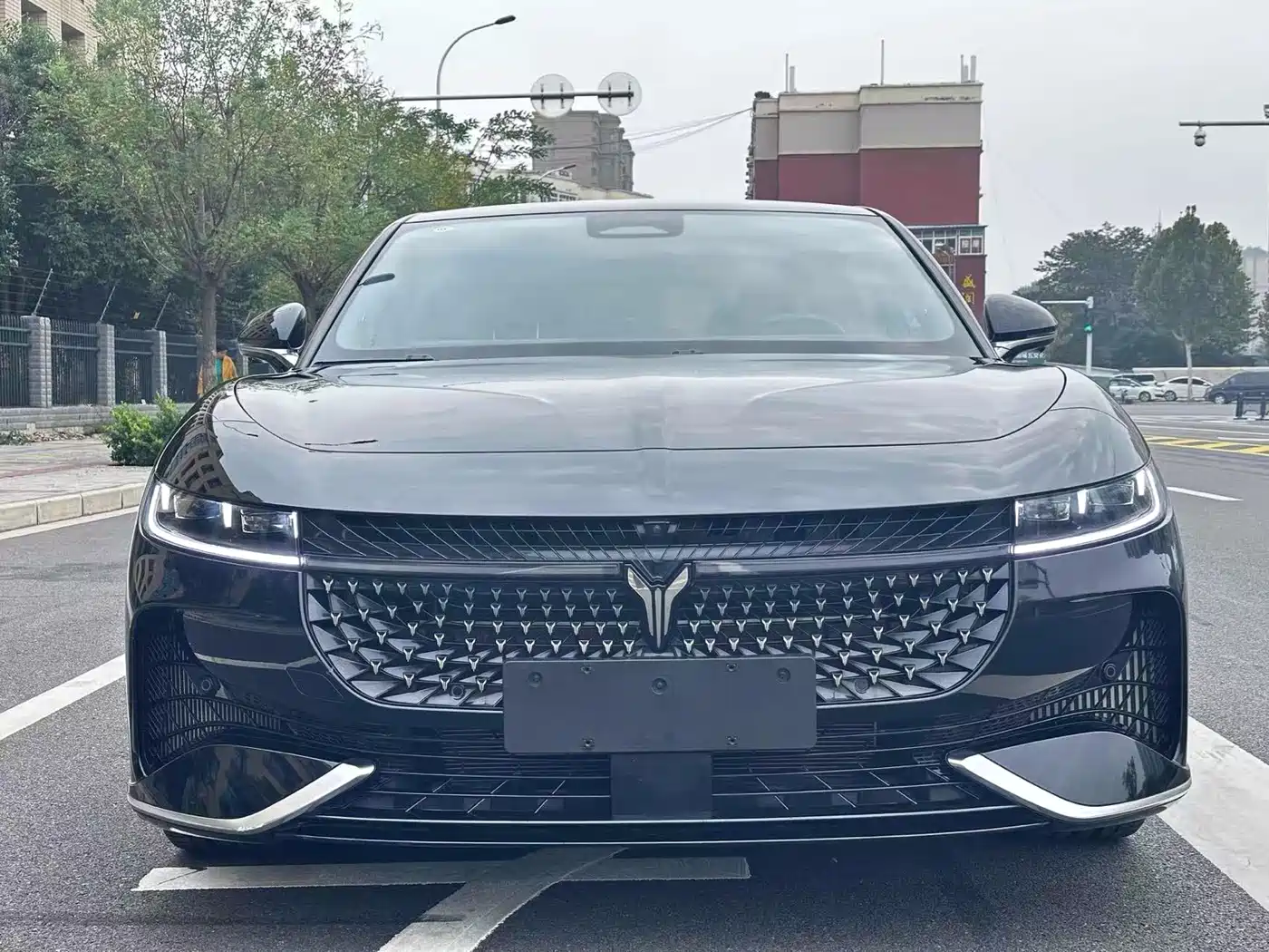 Voyah Auto VOYAH Zhuiguang 2024 2024 PHEV AWD Ultra Long Range Flagship