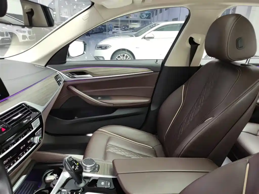 BMW 5 Series 2019 530Li Leading Luxury Package фото 26