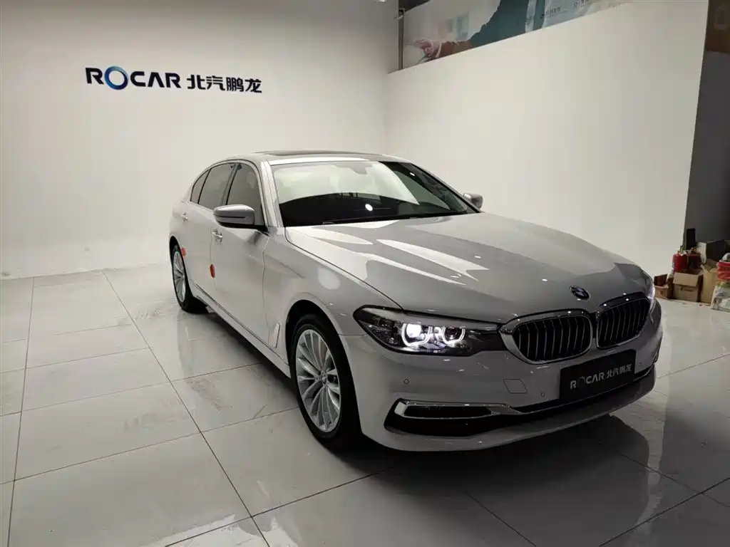 BMW 5 Series 2019 530Li Leading Luxury Package фото 21