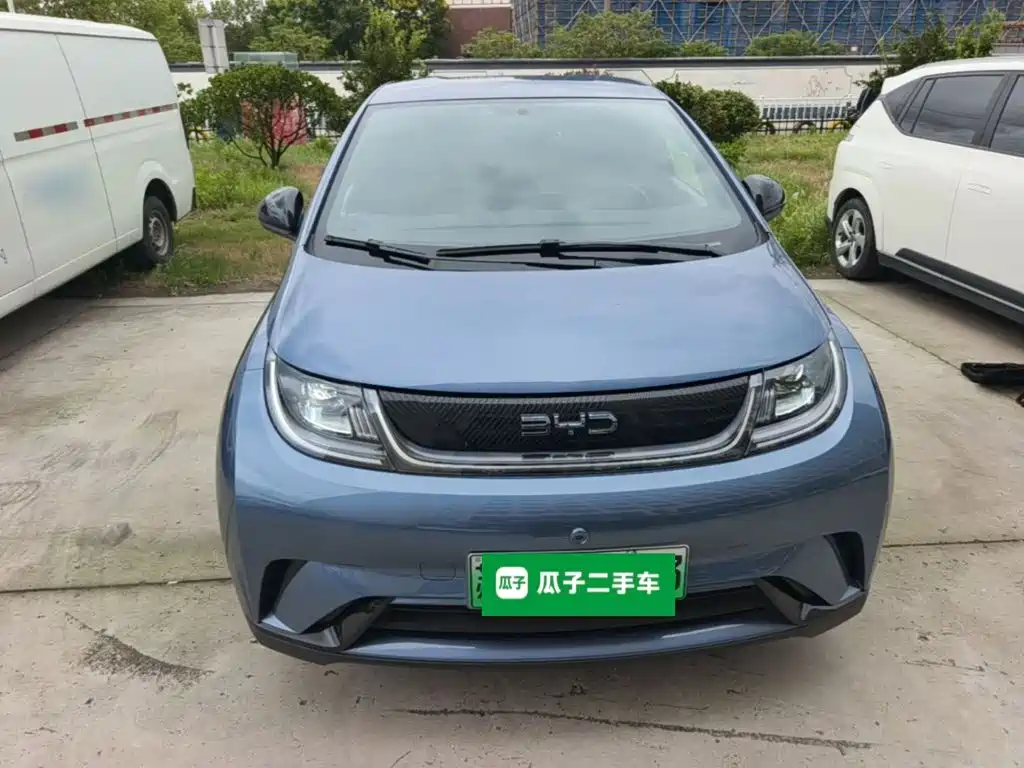 2026 BYD Dolphin