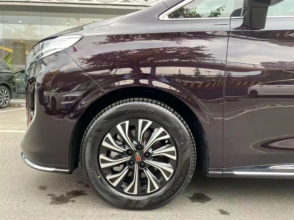 Hongqi HQ9 PHEV 2024 Model 2.0T AWD Luxury Edition фото 29