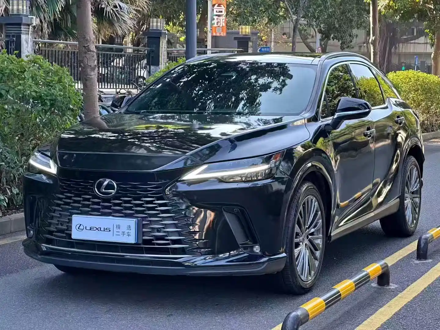 Фото 1 - Lexus RX