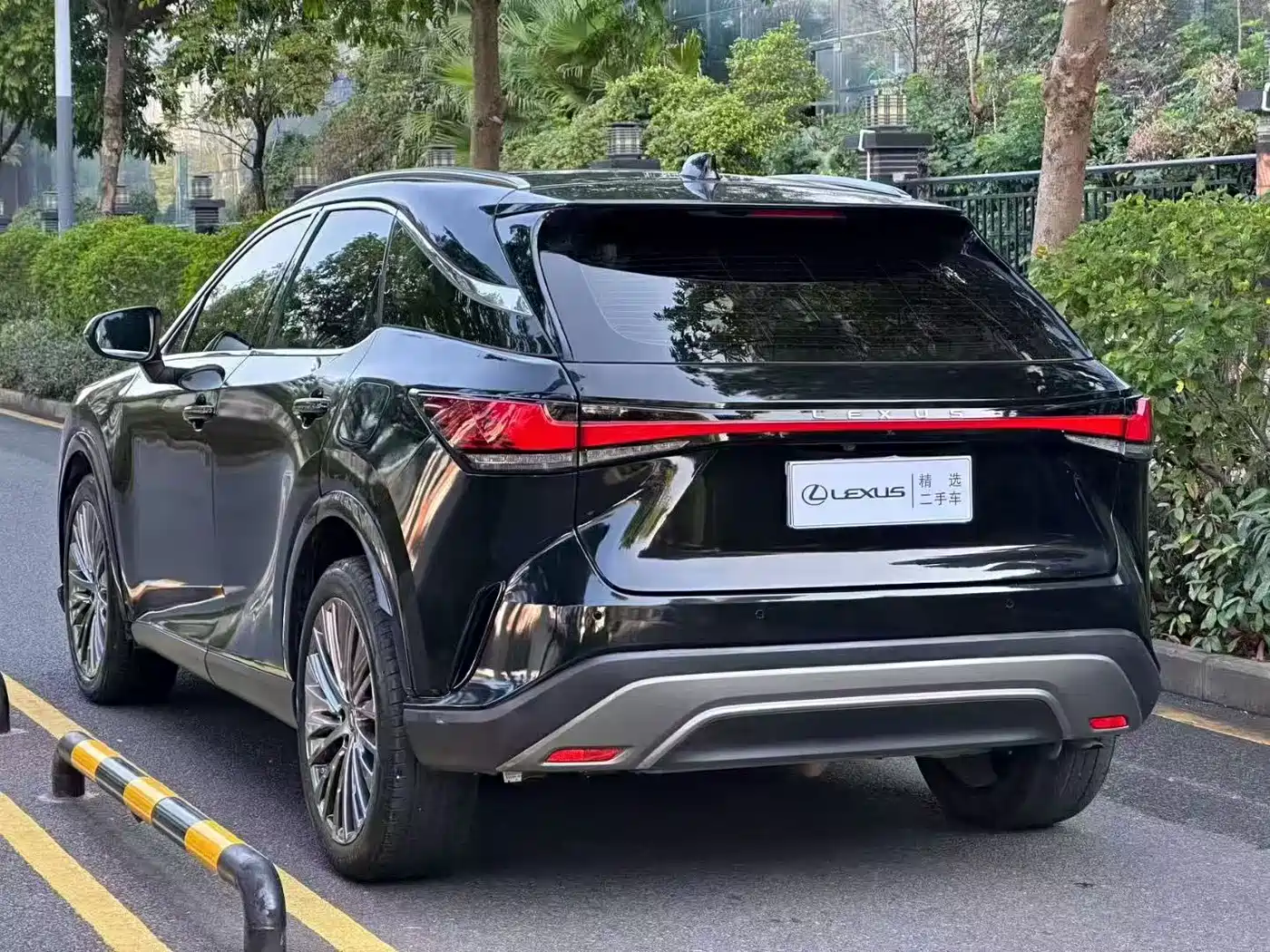 Фото 9 - Lexus RX