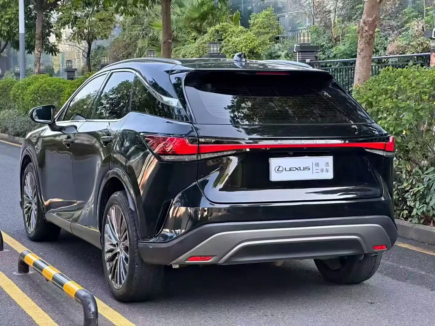 Фото 9 - Lexus RX