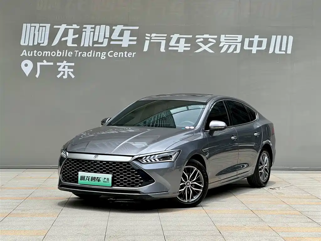 BYD Qin PLUS 2023 Champion Edition DM-i 55KM Surpassing