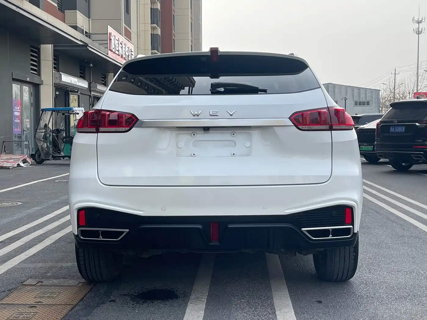 WEI PAI WEI BRAND VV5