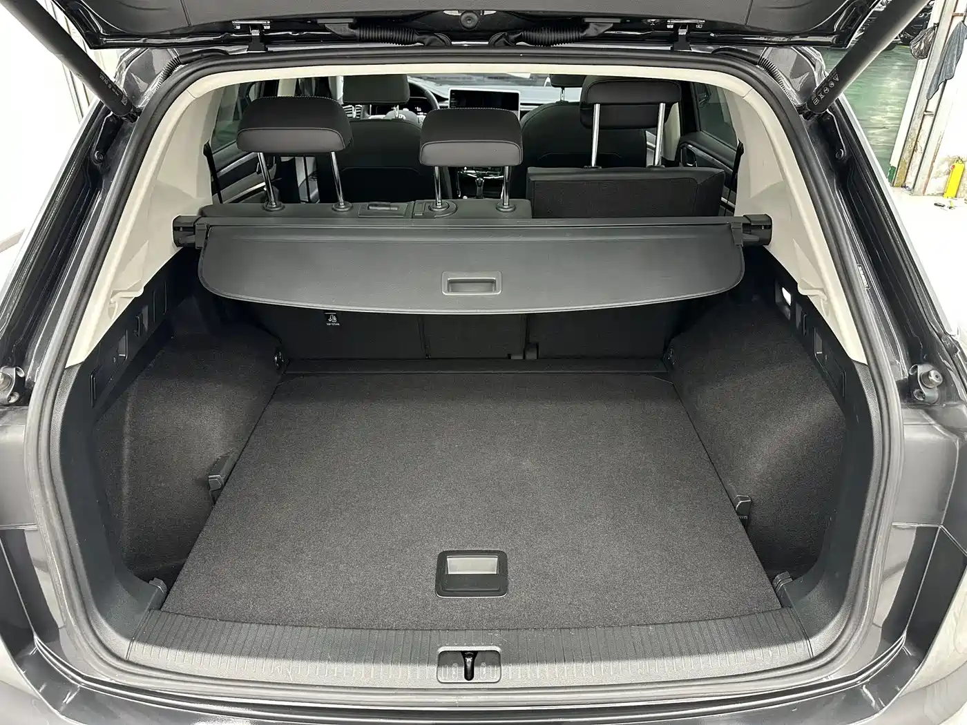 VOLKSWAGEN TANYUE