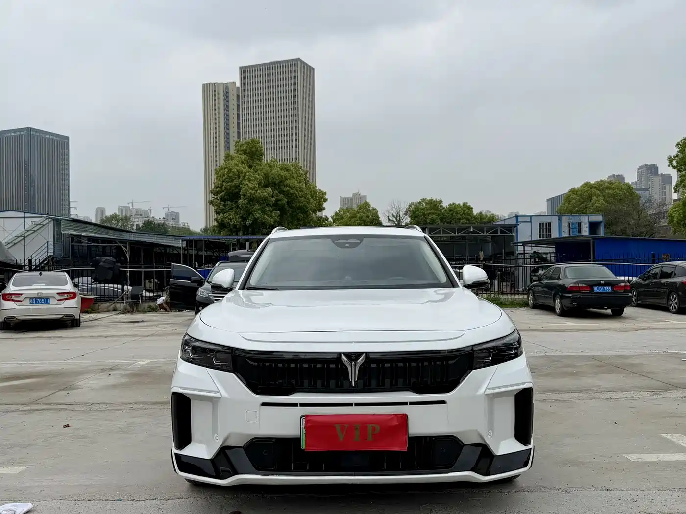Voyah Auto VOYAH FREE 2024 Ultra Long Range Intelligent Driving Edition фото 2