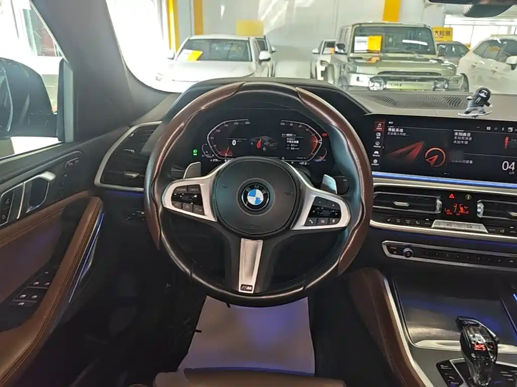 BMW X6