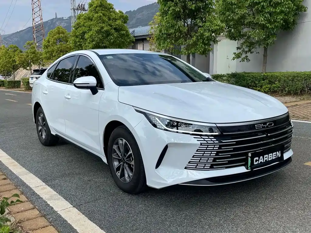 Фото 3 - BYD Destroyer 05
