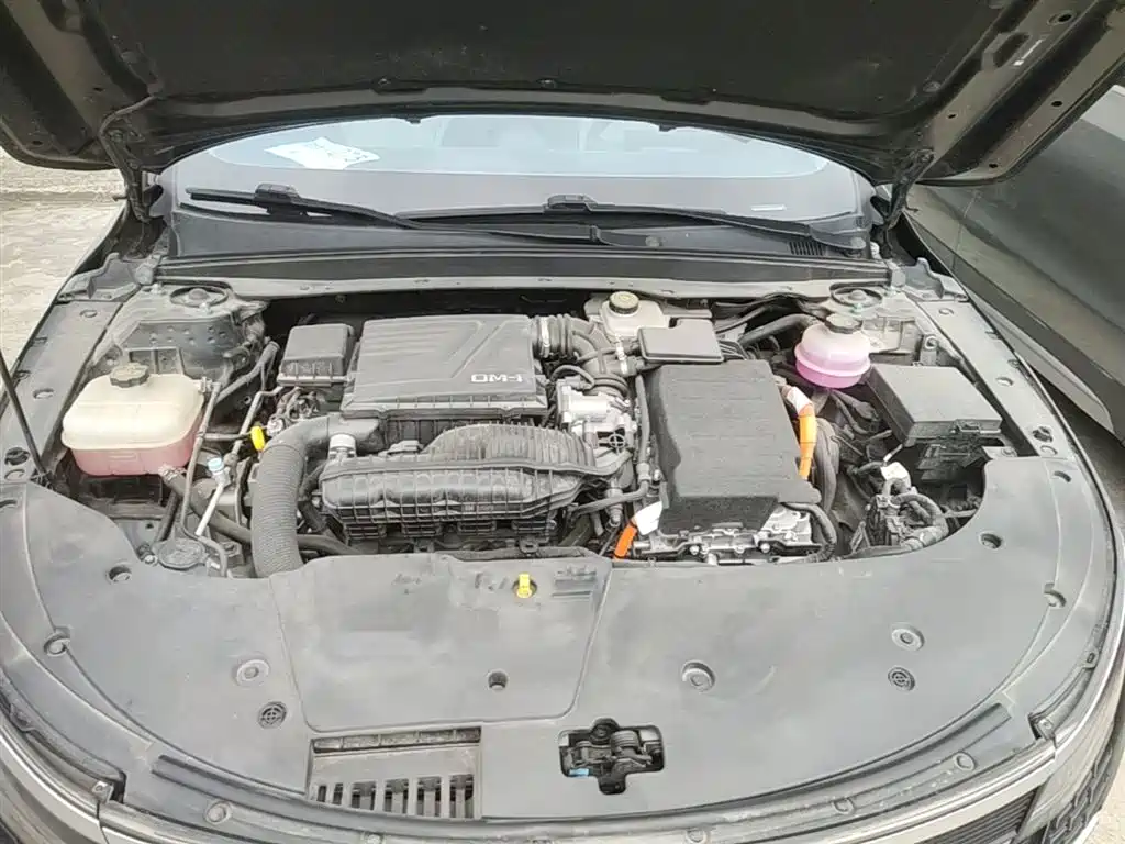 BYD Destroyer 05 2024 Glory Edition DM-i 55KM Luxury фото 20
