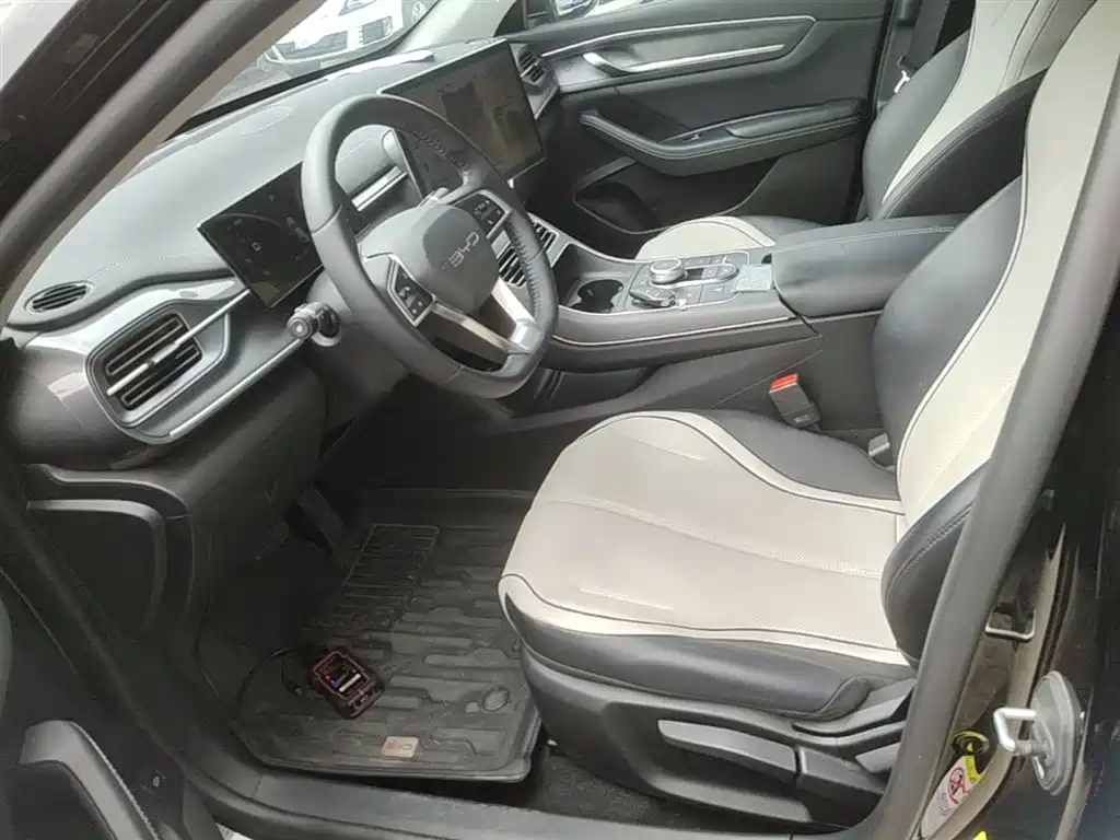 BYD Destroyer 05 2024 Glory Edition DM-i 55KM Luxury фото 15