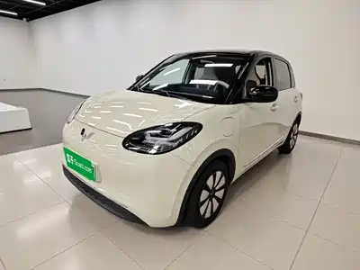 Wuling Bingo