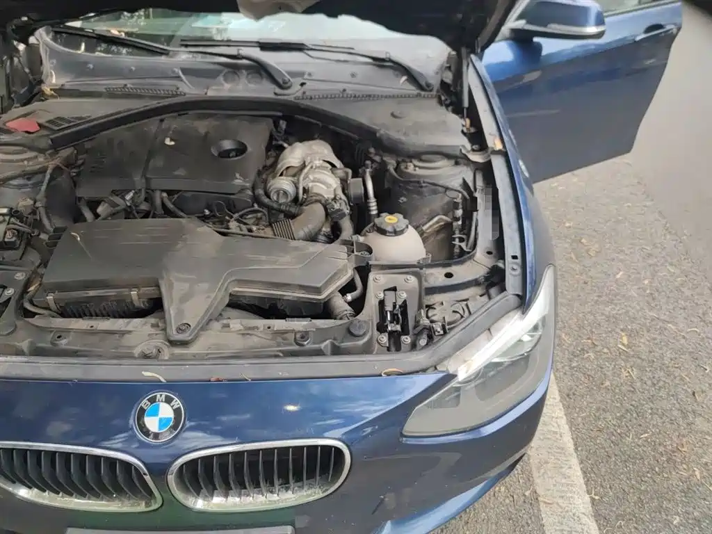 BMW 1 Series (Import) 2013 Facelift 116i Leading Model фото 22