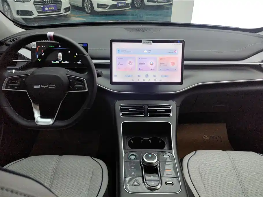 BYD Destroyer 05 2024 Glory Edition DM-i 55KM Luxury фото 11