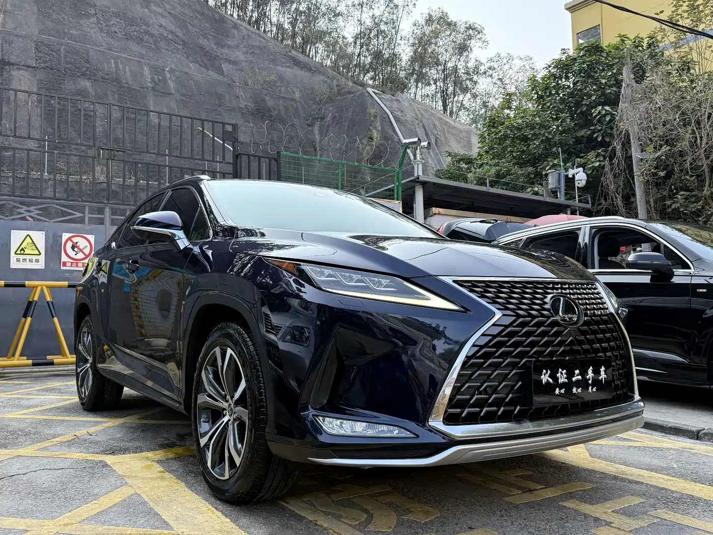 LEXUS RX