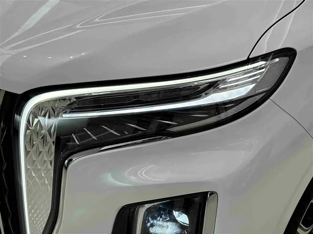 Hongqi HQ9 2023 2.0T Smart Connect Flag Rhyme Edition фото 4