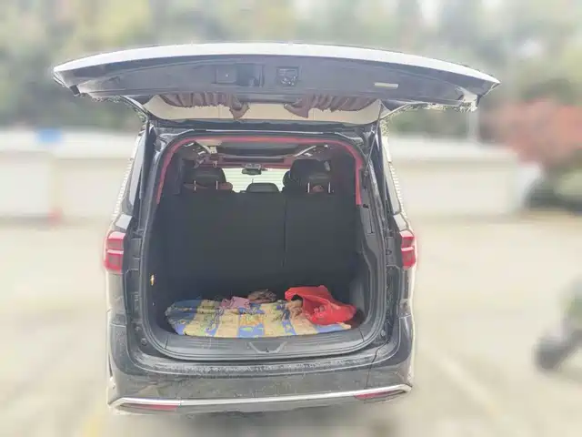 SAIC Maxus Maxus G20 2021 PLUS 2.0T Gasoline Automatic Flagship — фото 4