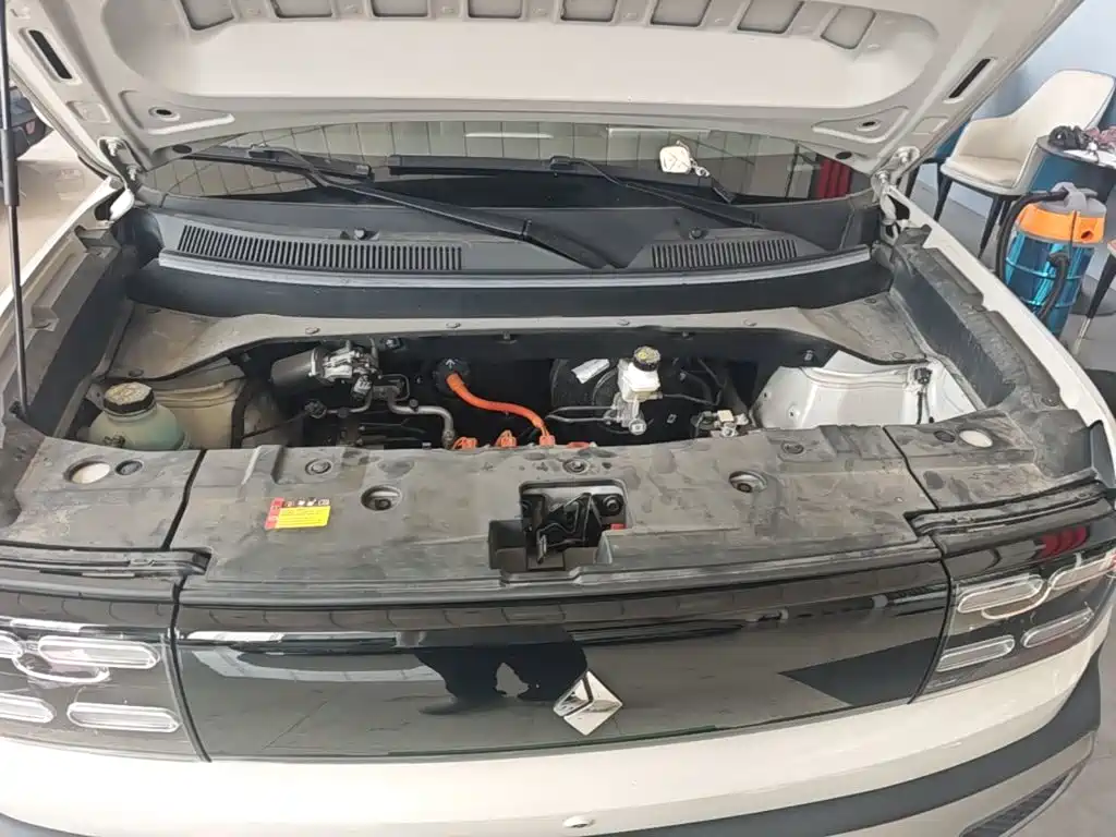Baojun Yueye Plus 2025 2026 301km Flagship