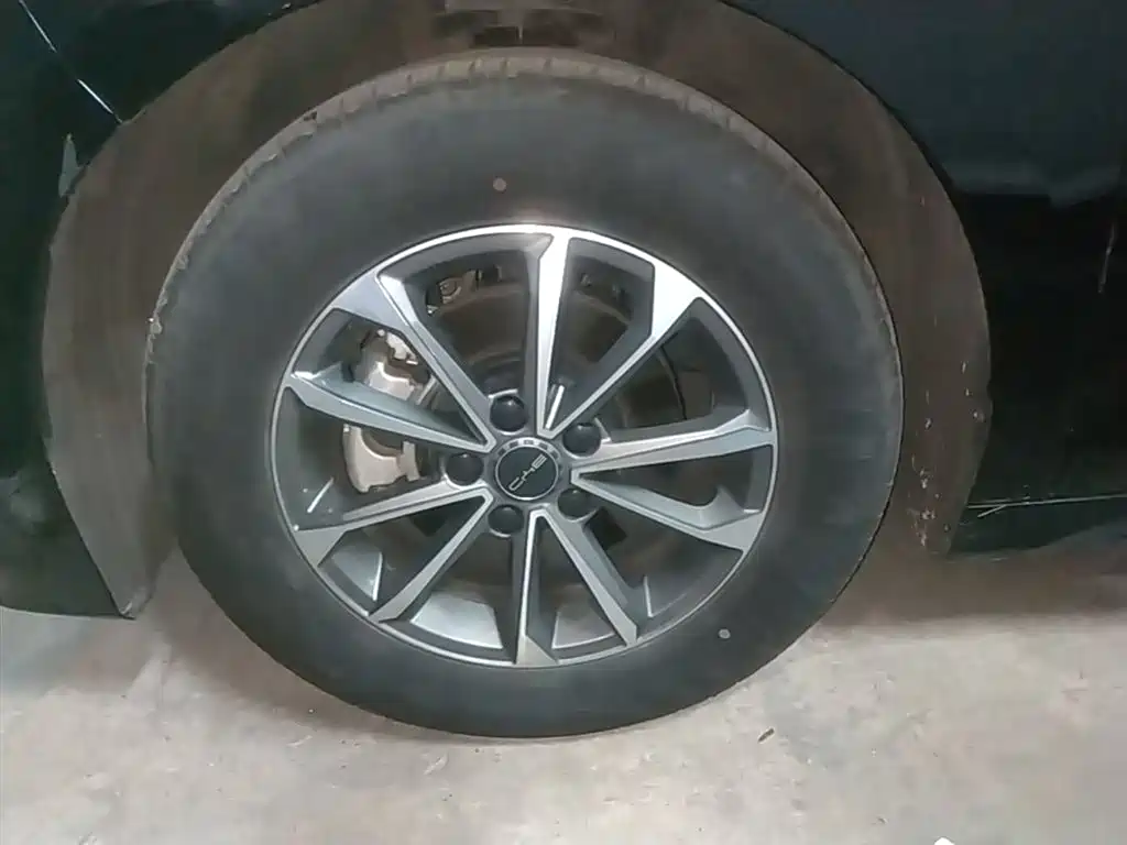 BYD Destroyer 05 2024 Glory Edition DM-i 55KM Luxury фото 23