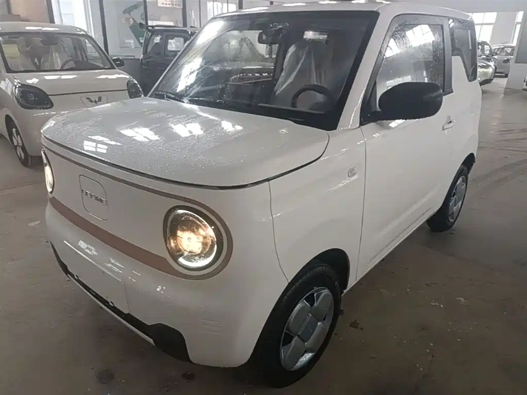 Geely Galaxy Panda 2025 Panda mini 210km Vitality Bear