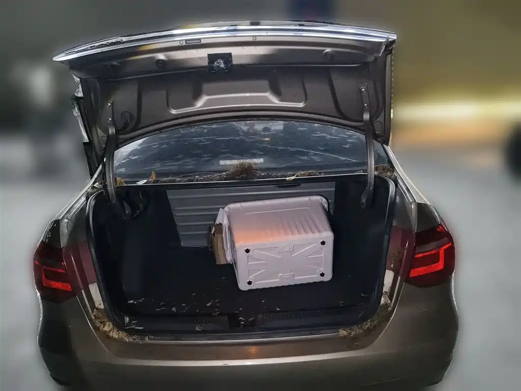 Volkswagen Jetta 2015 Value Edition 1.6L Automatic Fashion фото 10