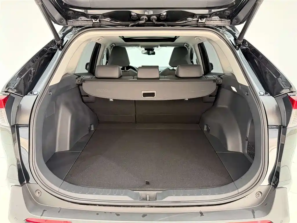 Toyota RAV4 Rongfang 2023 2.0L CVT FWD Style Plus Edition фото 14