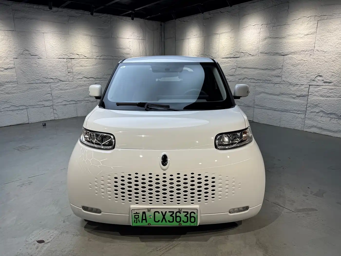 Ora White Cat 2020 2020 360km Luxury Model