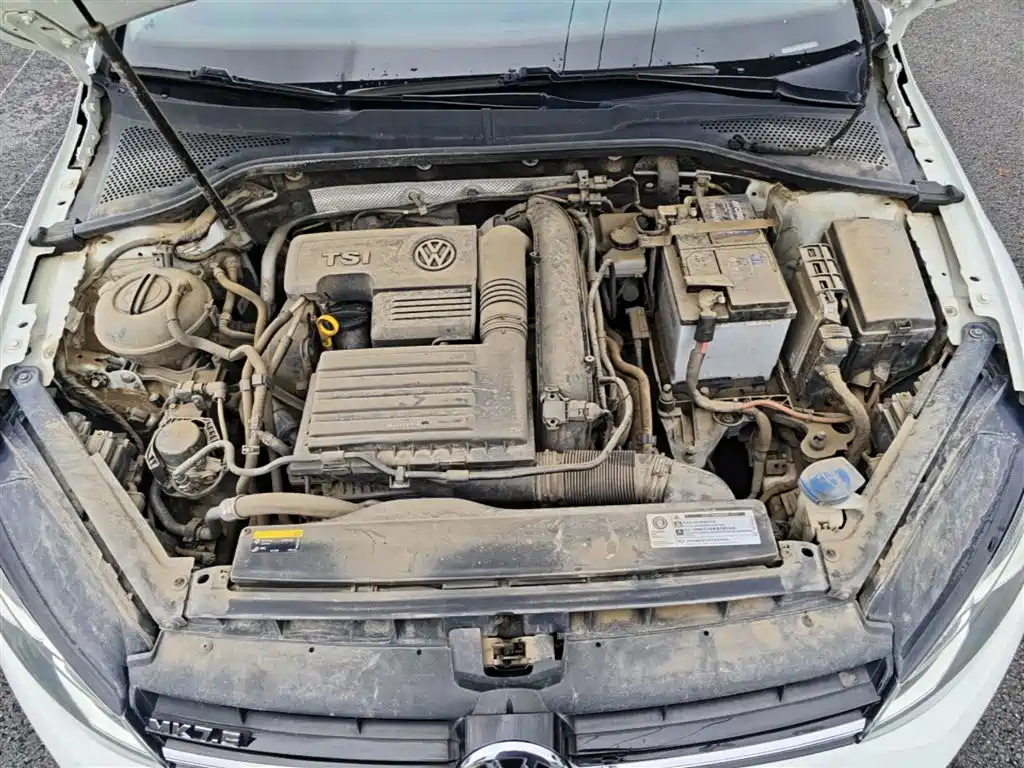 Volkswagen Golf 2020 280TSI DSG Luxury фото 20