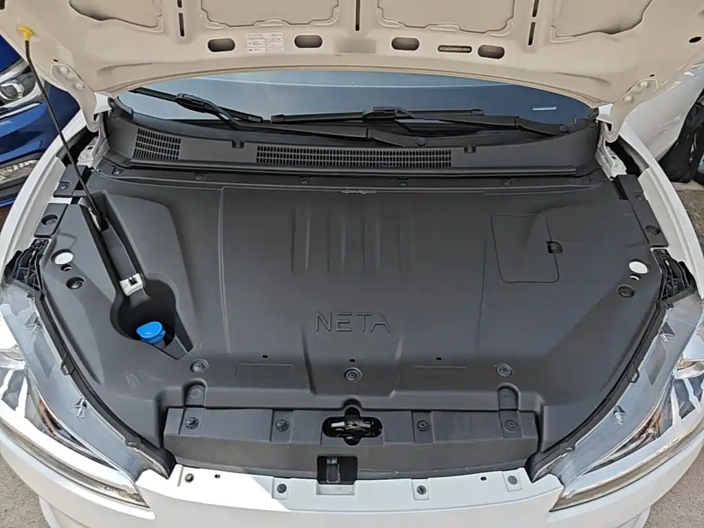 Nezha Auto Nezha V 2022 2022 Tide 300 Lite Ternary Lithium